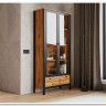 Гостиная Лофт (Loft) BRW} заказать в Санкт Петербурге по цене 71 790 руб. с доставкой в Санкт Петербург